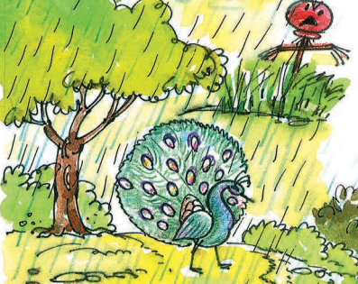 बरसात में एक मोर नाच रहा है।