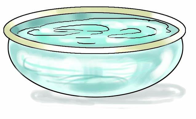 पानी से भरा एक पतीला