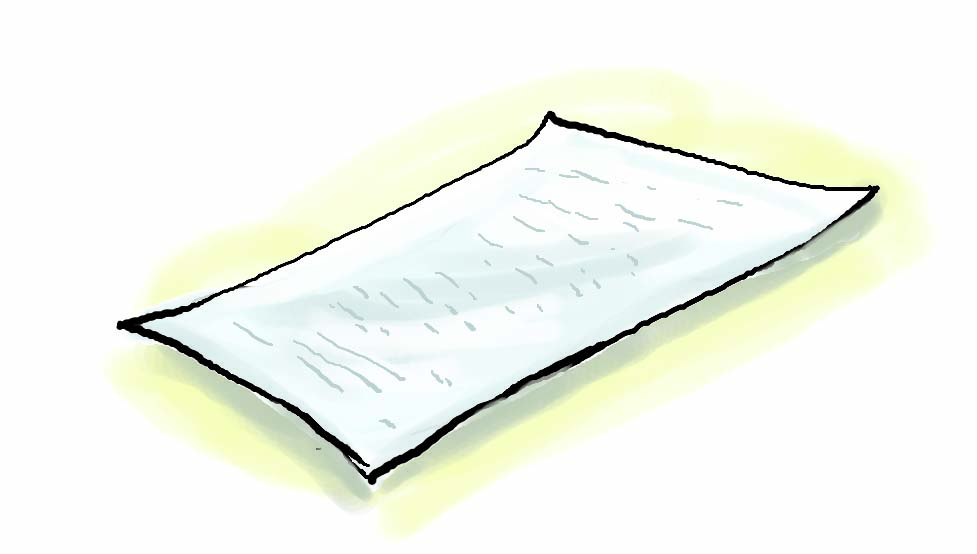 एक पन्ना