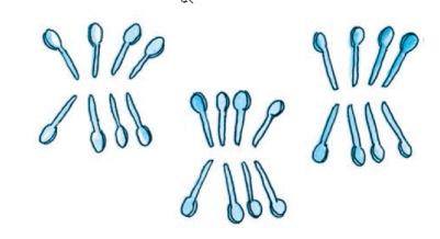 प्रत्येक समूह में आठ चम्मच हैं और  चम्मच के तीन समूह  हैं। 