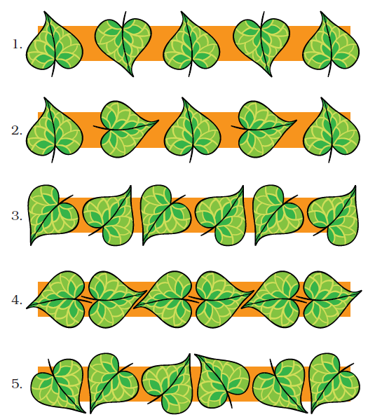 पहली पंक्ति में, पहले एक पत्ता सीधा रखा जाता है फिर उल्टा और फिर पैटर्न दोहराता है। दूसरी पंक्ति सीधी रखी हुई पत्ती से शुरू होती है, फिर इसे दाहिनी ओर घुमाया जाता है और पैटर्न दोहराता है। तीसरी पंक्ति एक पत्ती से शुरू होती है जिसे उल्टा रखा जाता है और बाईं ओर झुका हुआ होता है और फिर यह सीधा होता है और दाईं ओर झुका होता है और फिर पैटर्न दोहराता है। अगली पंक्ति दिखाती है कि एक पत्ता बाईं ओर रखा हुआ है और फिर अगला पत्ता दाईं ओर रखा गया है और फिर पैटर्न दोहराता है। अंतिम पंक्ति में एक पत्ता नीचे की ओर रखा गया है और दाईं ओर झुका हुआ है और अगला पत्ता नीचे की ओर है और यह बाईं ओर झुका हुआ है और फिर पैटर्न दोहराता है। 