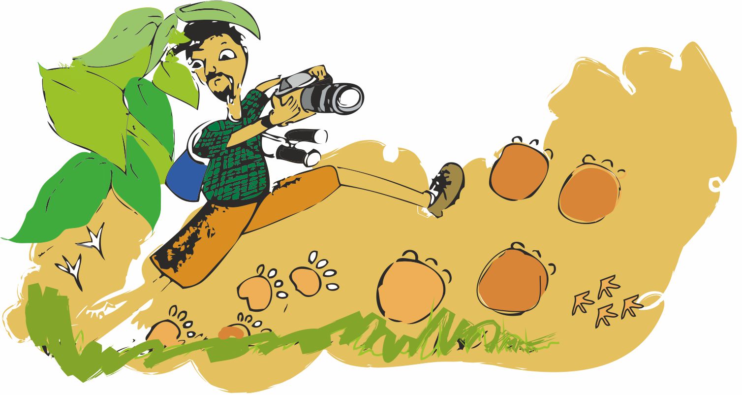 हाथ में कैमरा लिए एक आदमी जंगल में घूम रहा है और जंगल में कीचड़ भरी सड़क पर छोटे जानवरों के पैरों के निशान देख रहा है। 