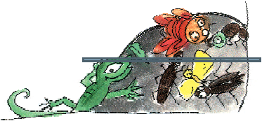 एक छिपकली एक चट्टान पर चढ़ रही है जिस पर कीड़े, तिलचट्टे आदि हैं 