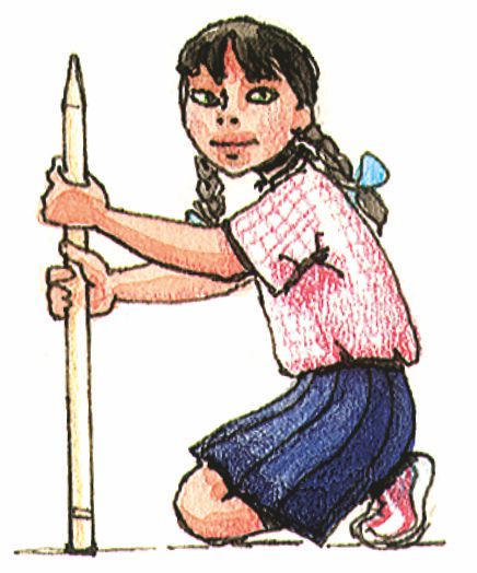 एक लड़की एक स्टंप को खड़ी स्थिति में रखती है, जैसे कि स्टंप का नुकीला हिस्सा ऊपर की ओर हो। 