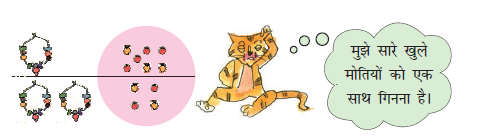 बिल्ली हार अलग  और खुले मोती अलग गिनना चाहती है। 