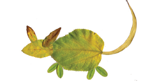Picture of a mouse made using dry leaves. 