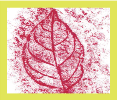 An impression of a leaf. 