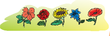 Different types of flowers.