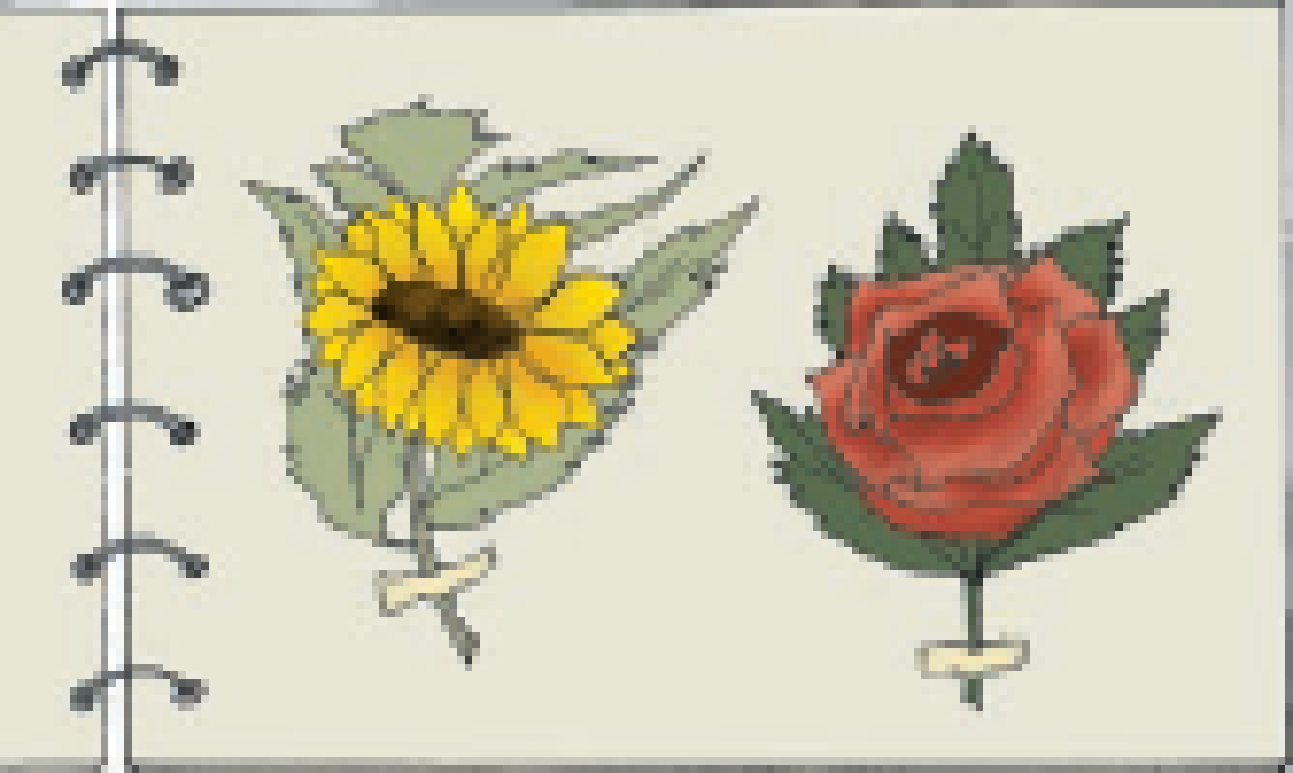 Flowers in the scrap book.