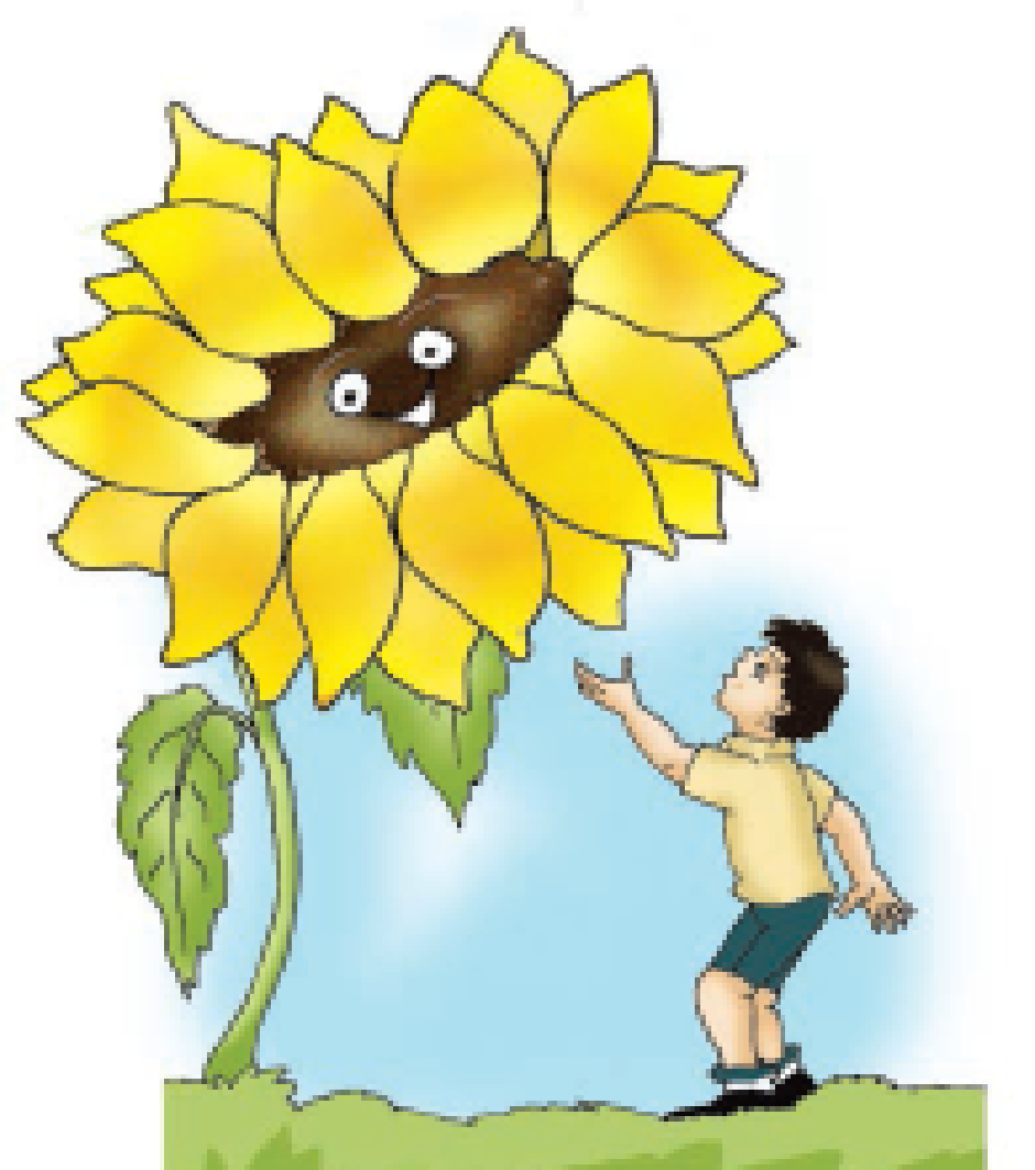 A little boy talking to a big Marigold flower.