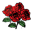 A bunch of Rose flower.