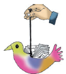 Bird is hanging with a shoe lace.