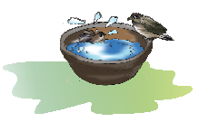 Birds playing in a bowl of water.