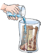 Water poured into a glass with beans, sand and bloating paper. 