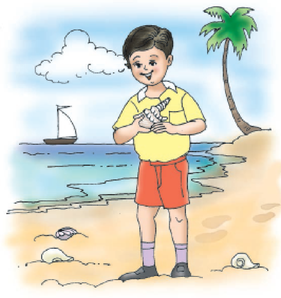 A boy holding a shell and standing at a beach.