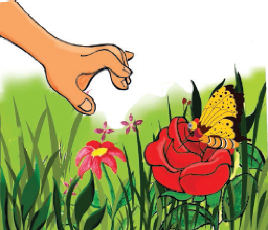 A butterfly sitting on a rose and human hand coming closer to catch it.