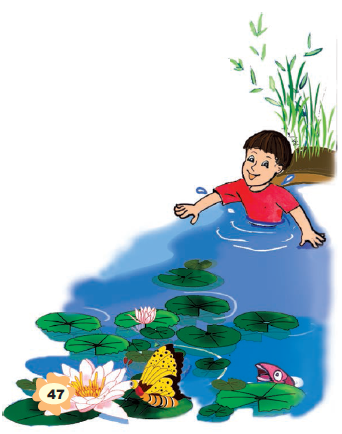 A boy trying to catch the butterfly who is on a floating leaf in a pond.