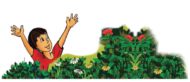 Boy flying off the butterfly in the garden.