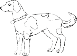 Picture of a dog with dotted lines.