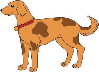 A dog.