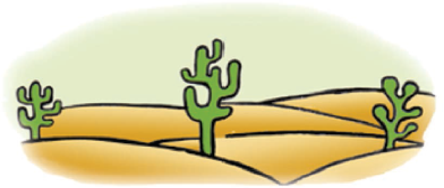 Cactus plants in the desert.