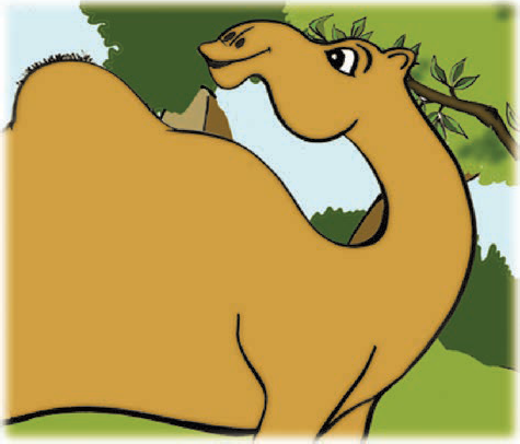 A camel.