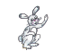 A rabbit.