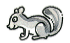 Squirrel.