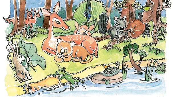 Animals in a jungle.