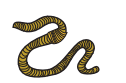 An earthworm.