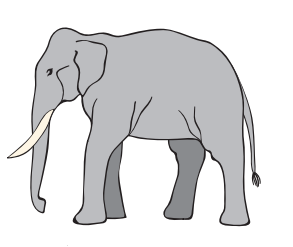An elephant.