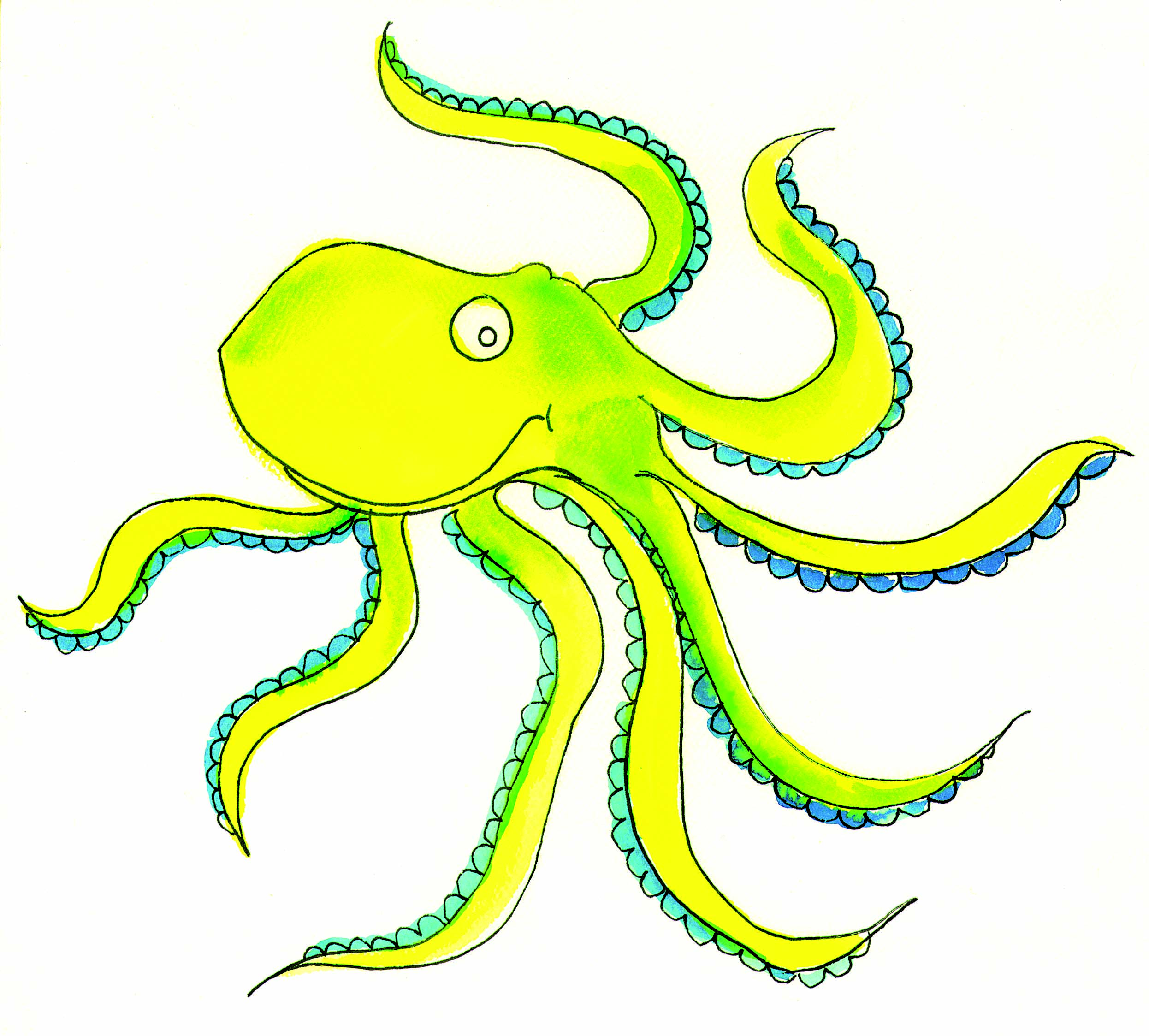 An octopus.