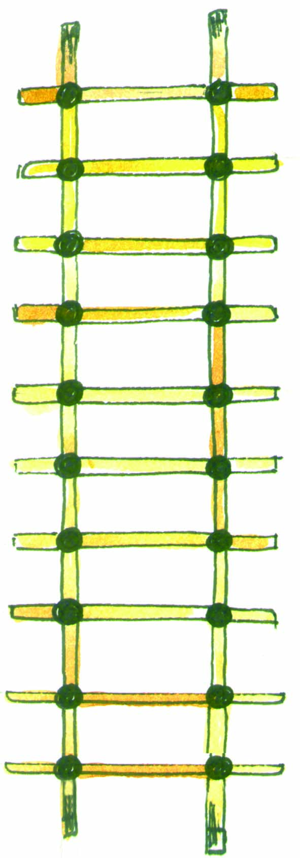 Sticks joined to form a ladder