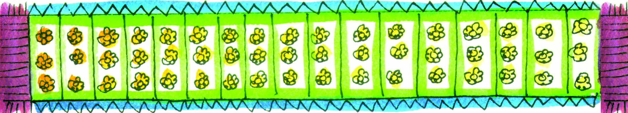 17 designs with three flowers in each design.