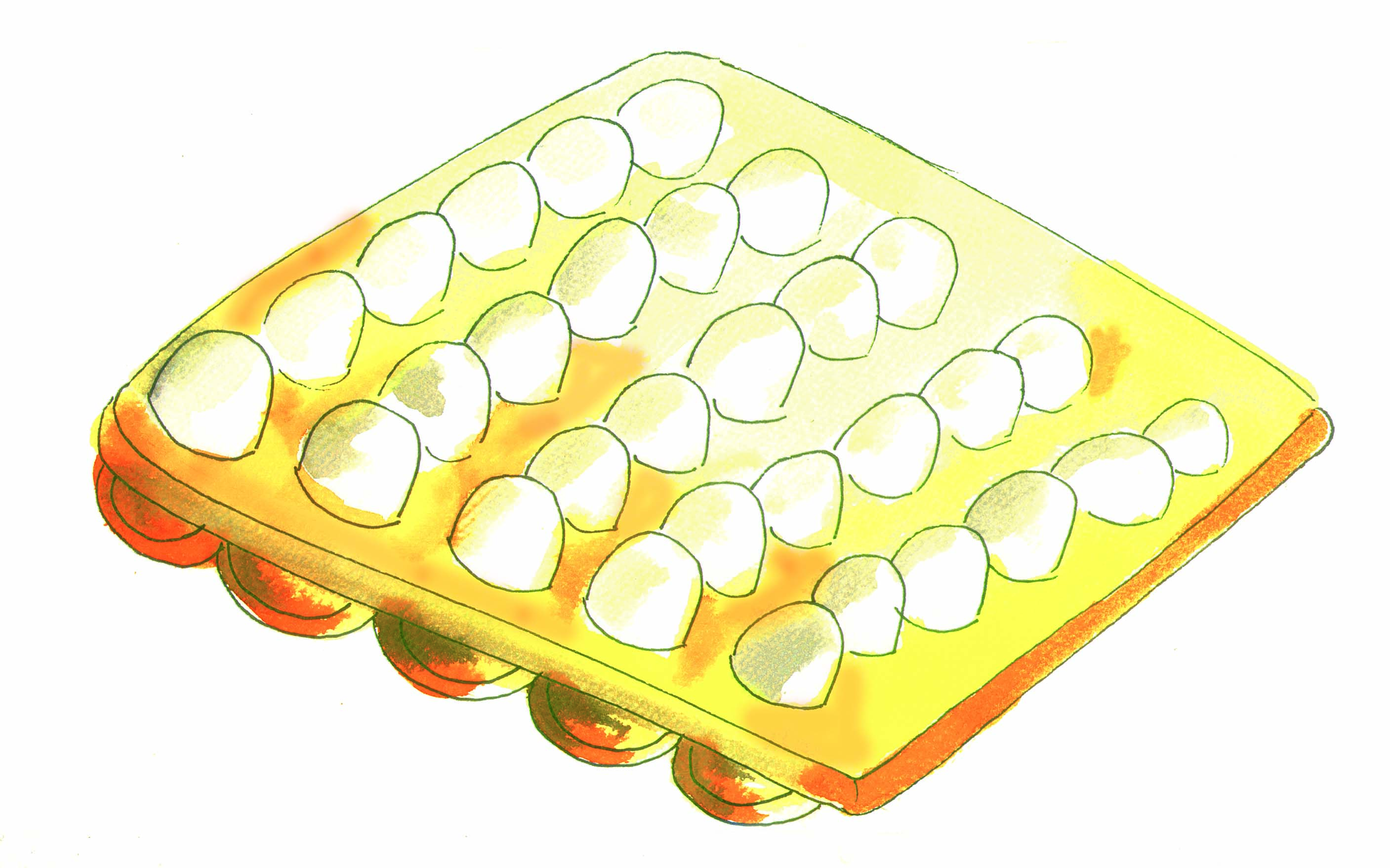 An egg tray with five rows and six eggs in one row.
