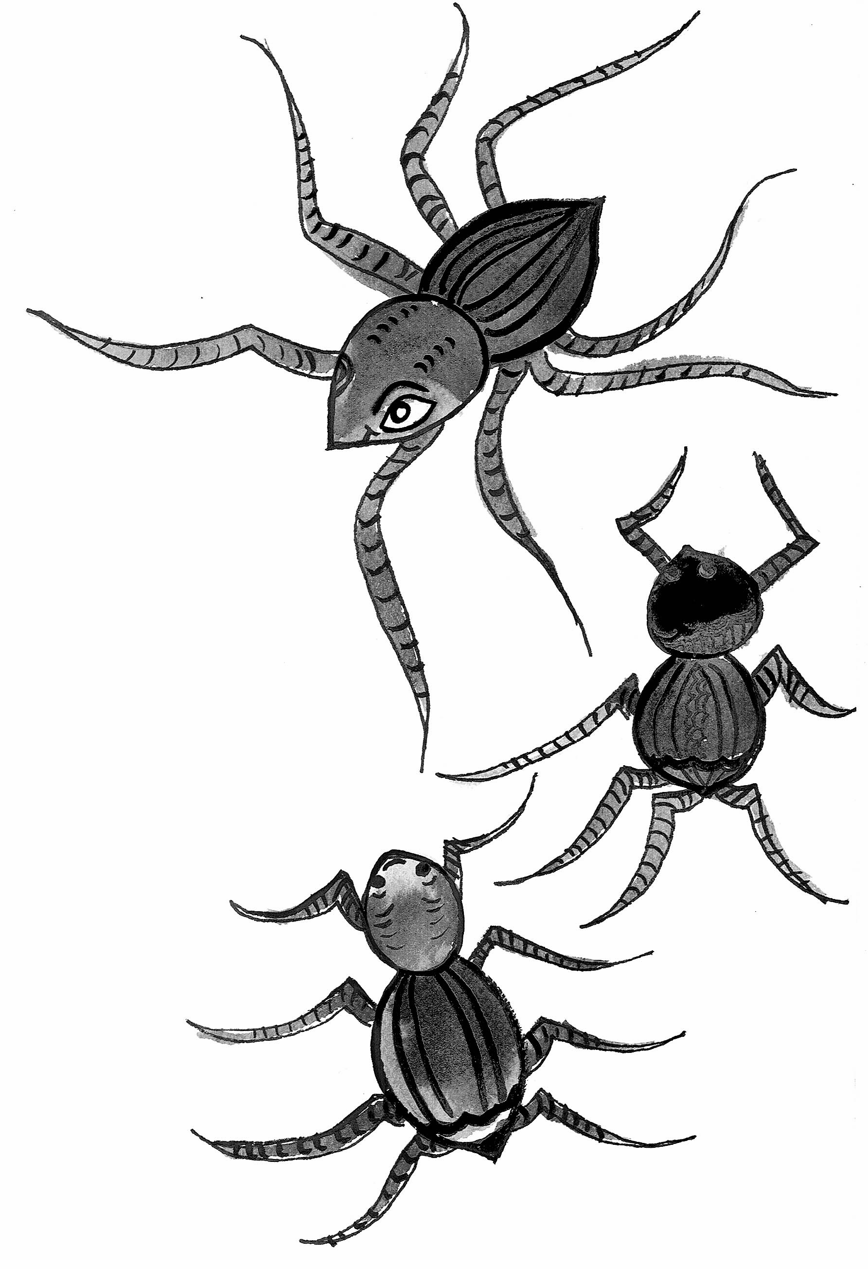 Three spiders with eight legs each.