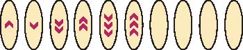 A pattern with ovals and arrows inside. One arrow down in first, one up in second, two down in third, two up in fourth , three down in fifth and three up in sixth.
