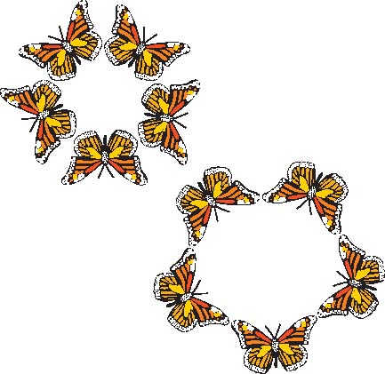 Five butterflies in the group.