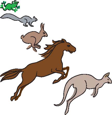 A frog,A squirrel,A rabbit,A horse and A kangaroo