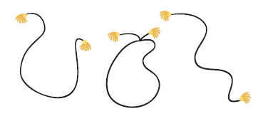 Three threads with two beads each.