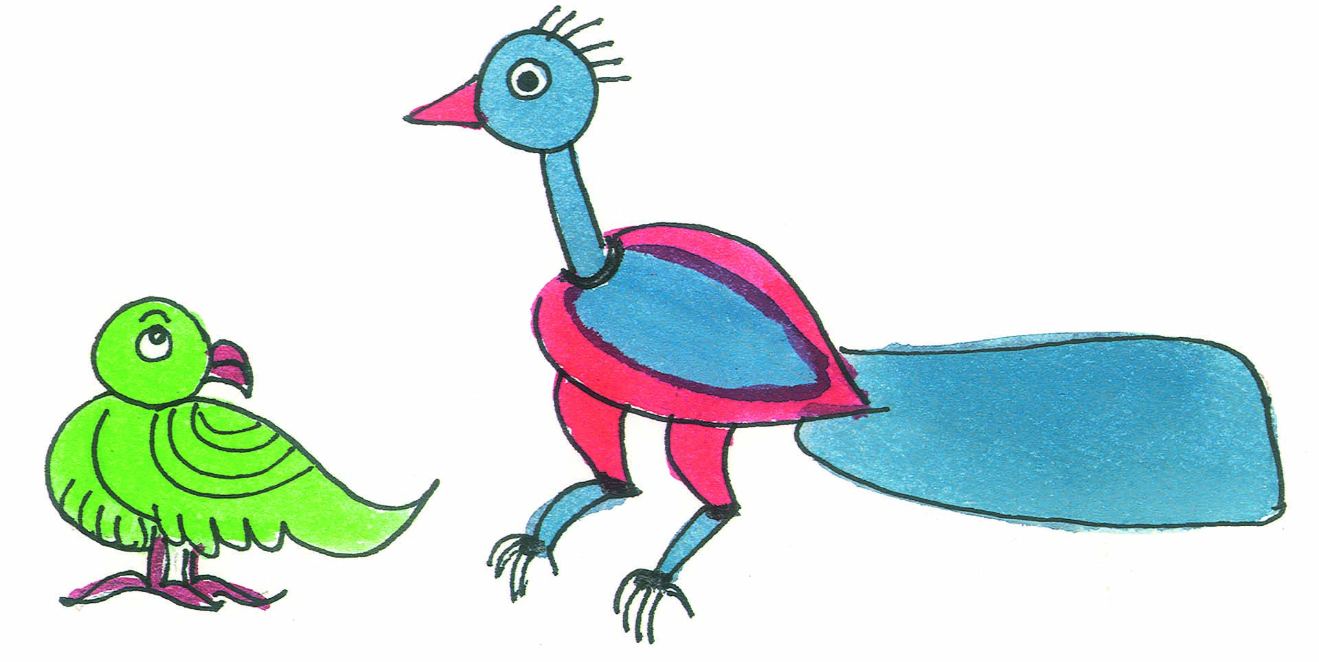 A parrot and a peacock.