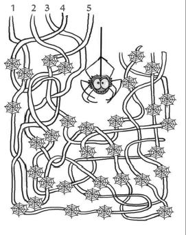 मकड़ी अंदर जाने के लिए 1, 2, 3, 4 और 5 नंबर रास्ता में से सबसे ज़्यादा जाले वाला रास्ता ढूंढ रही है। 