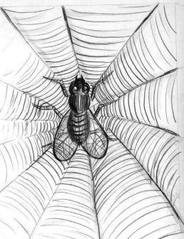 मक्खी मकड़ी के जाले में फँस गई है। 