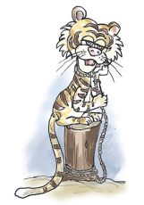 बाघ खूटे से बंधा है। 