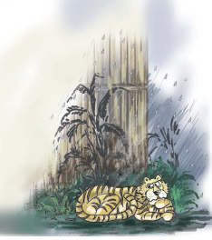 एक बाघ सोच रहा है। 