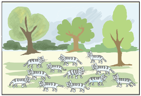 बहुत सारी बिल्लियाँ एक बगीचे में खेल रही हैं। 