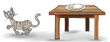 बिल्ली मेज़ पर रखी रोटी को देख रही है। 