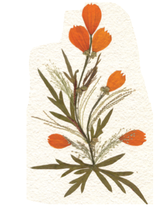 सूखे फूल पत्तों से बना एक डिजाइन। 