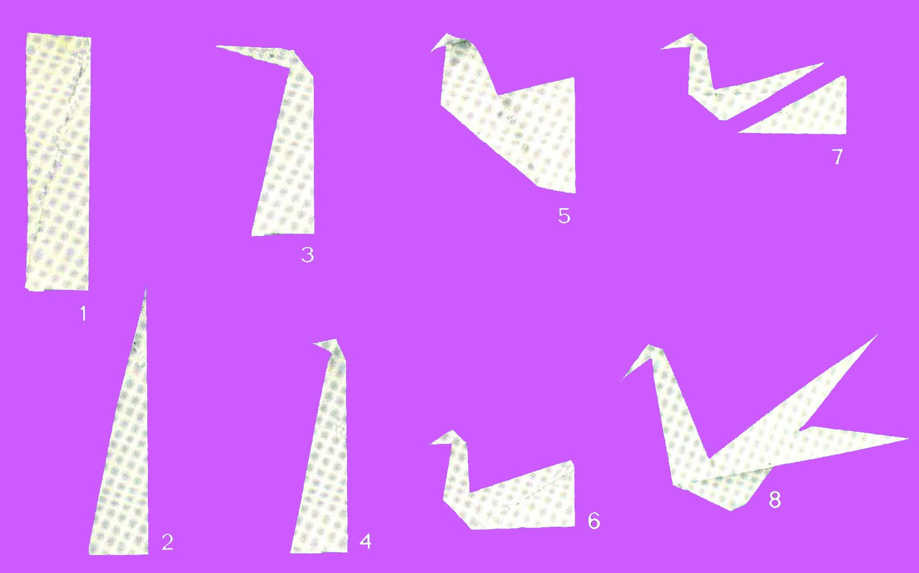 Steps to make a paper bird. 