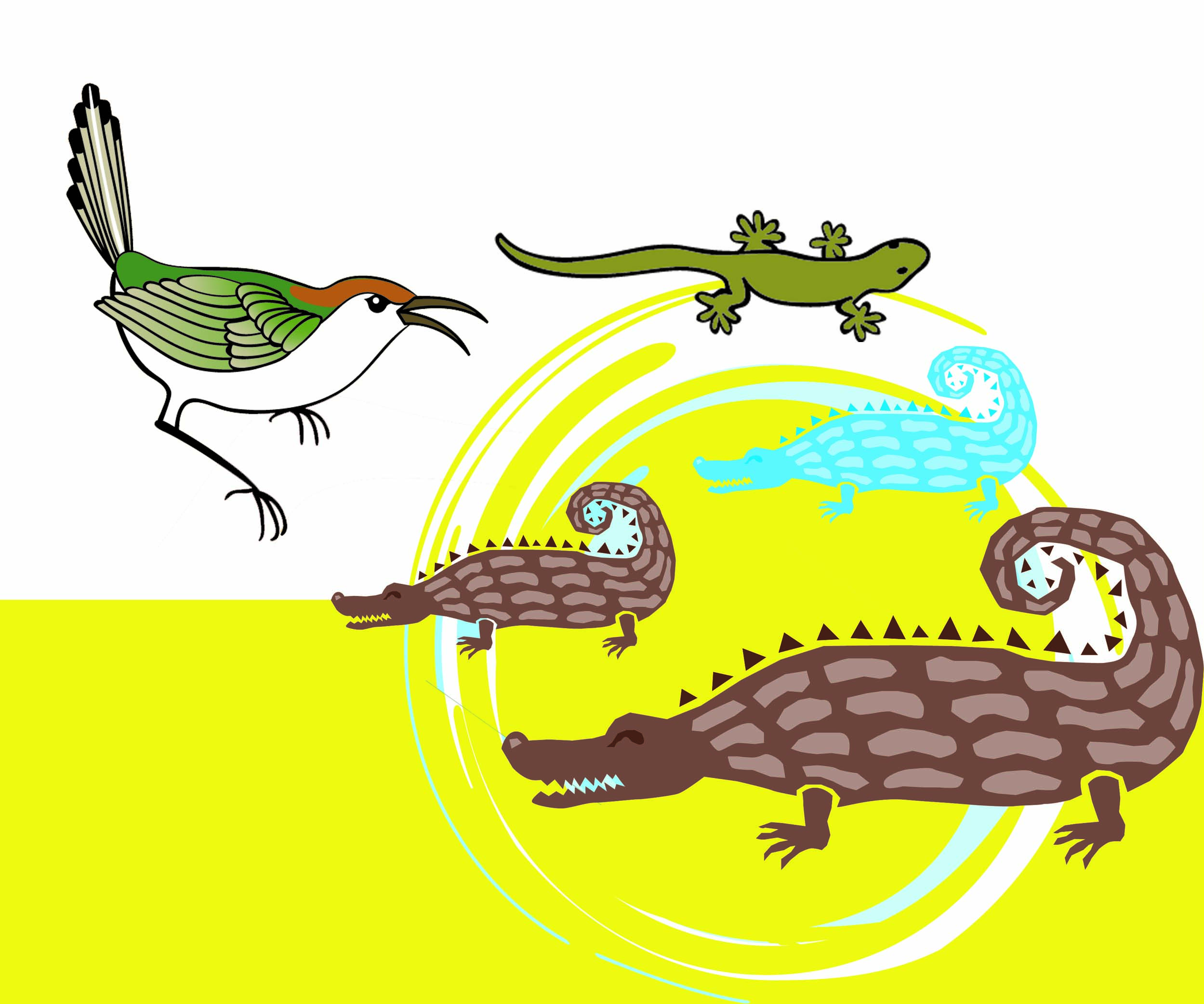 Few reptiles and a bird. 